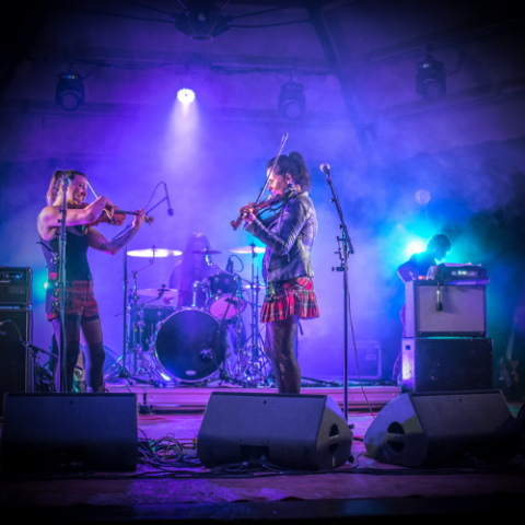 Image Not Found On Media Library